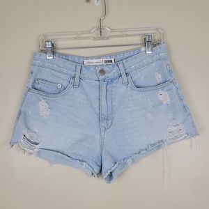 Lovers + Friends denim shorts